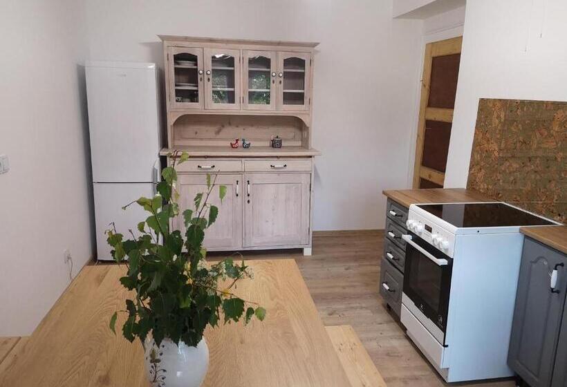 ホテル Agroturystyka Cieślarówka