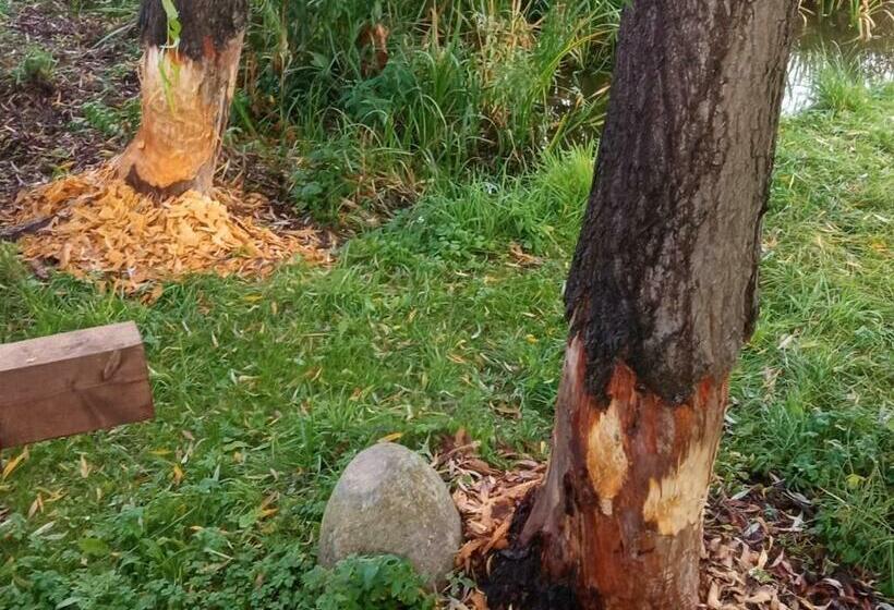 فندق Agroturystyka Kwatery Pracownicze Noclegi Rybno Mazury