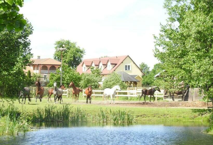 Отель Gospodarstwo Kaczynski Ostrołęka