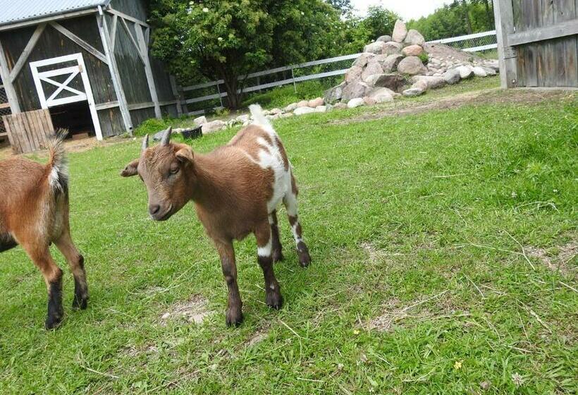 Отель Gospodarstwo Kaczynski Ostrołęka