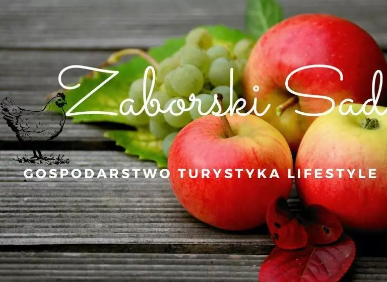 ホテル Gospodarstwo Zaborski Sad