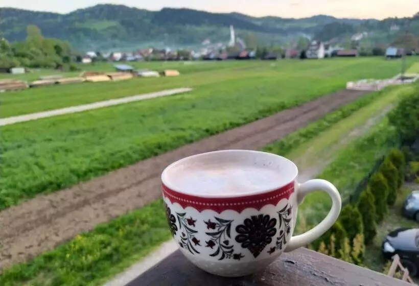 ホテル Pokoje Gościnne U Bożenki