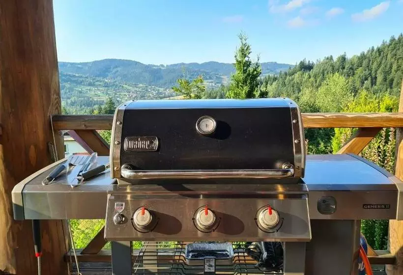 ペンション Dom Na Szewcowej Polanie