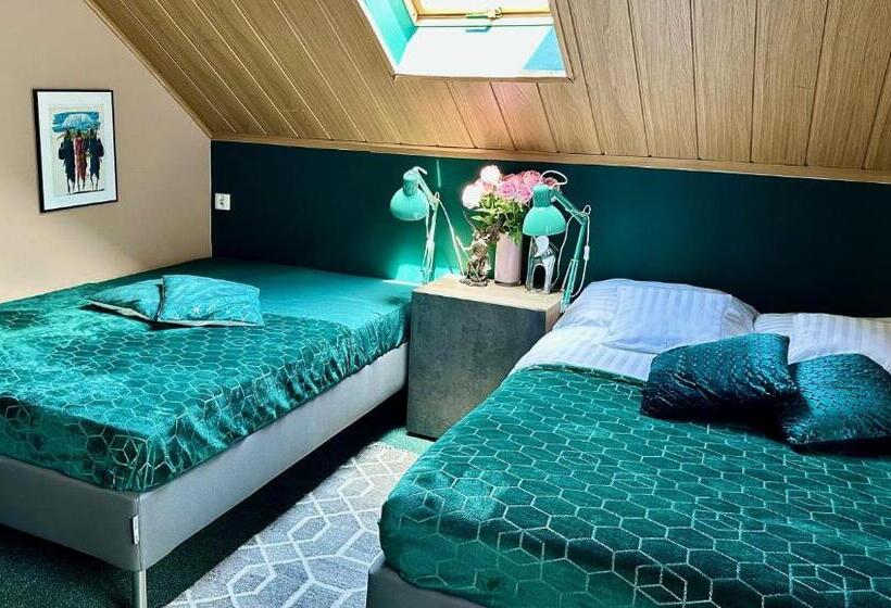 بنسيون Dziki Szynk