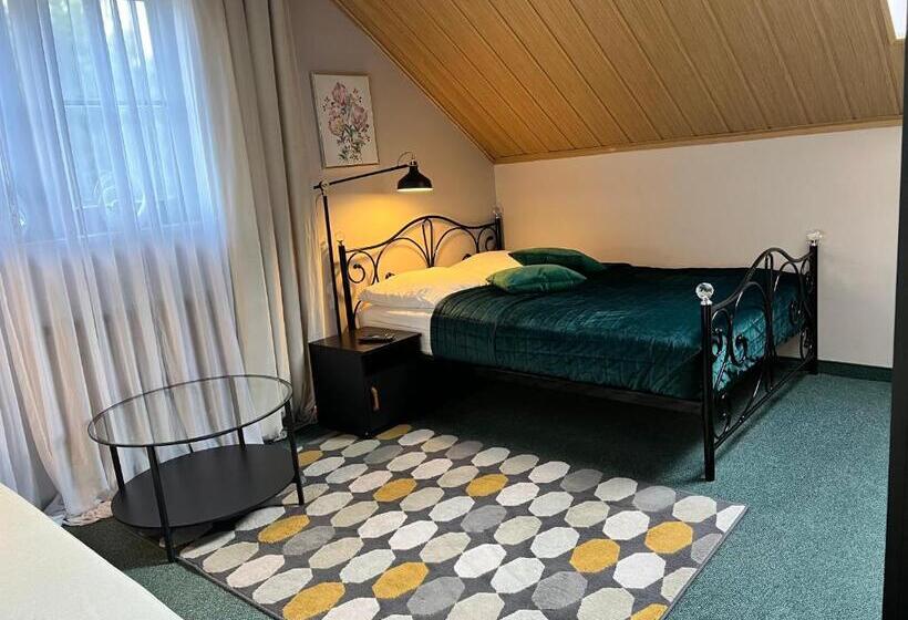 بنسيون Dziki Szynk