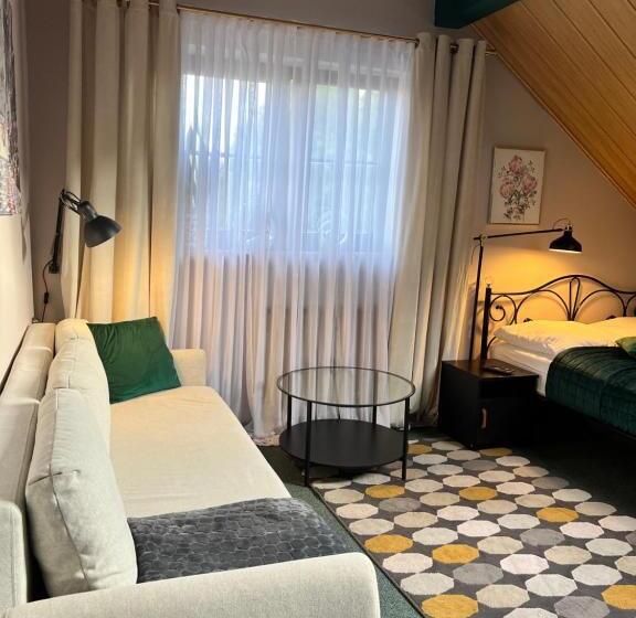 بنسيون Dziki Szynk