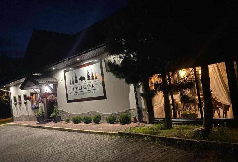 بنسيون Dziki Szynk