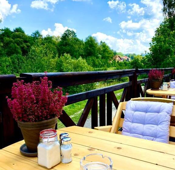 بنسيون Dziki Szynk