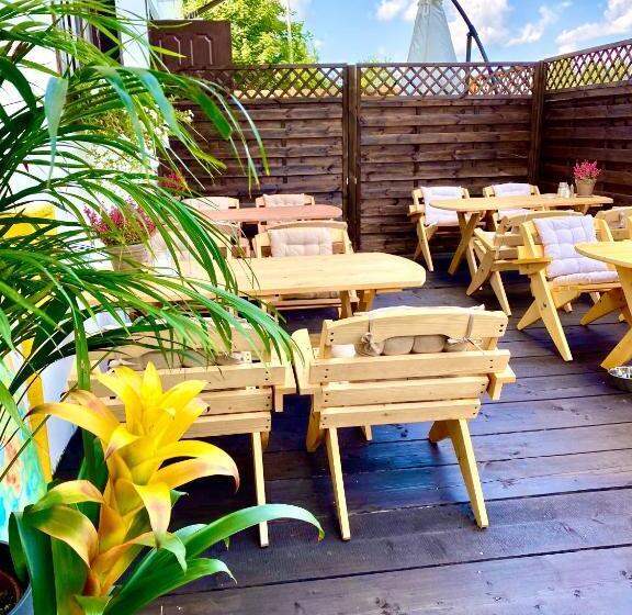 بنسيون Dziki Szynk