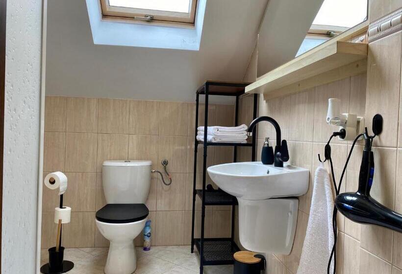 بنسيون Dziki Szynk