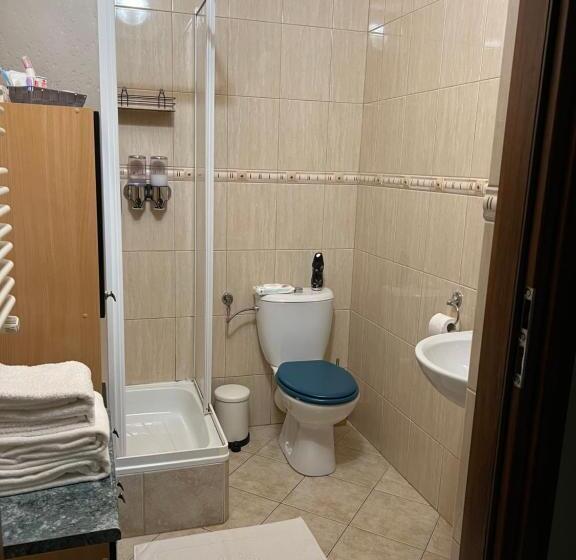 بنسيون Dziki Szynk