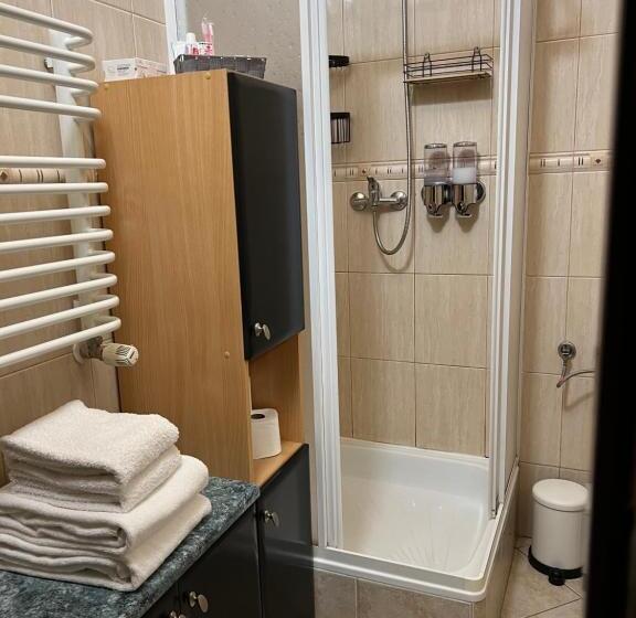 بنسيون Dziki Szynk