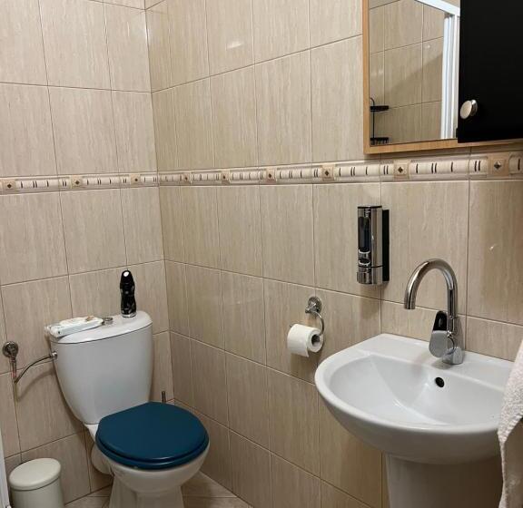 بنسيون Dziki Szynk