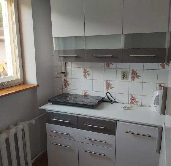 膳宿费 U Podnóża Kotarza