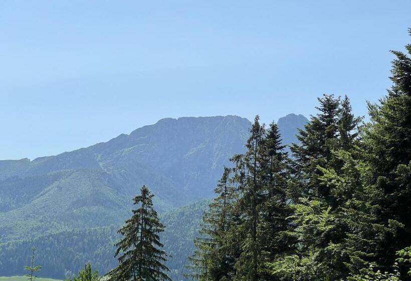 Pensionat Willa U Moni