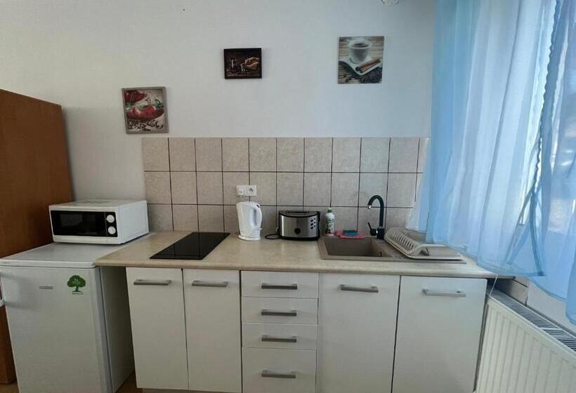 펜션 Złote Piaski