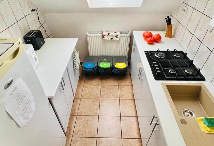 펜션 Złote Piaski