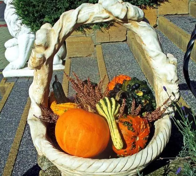 Retkeilymaja Zajazd Pod Jarem