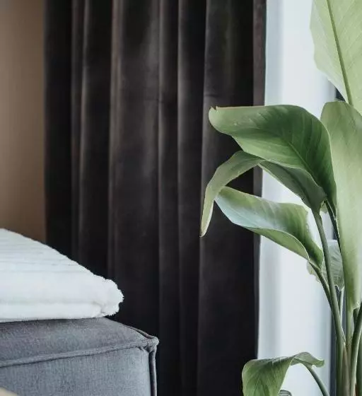 Apartamenty Heyer