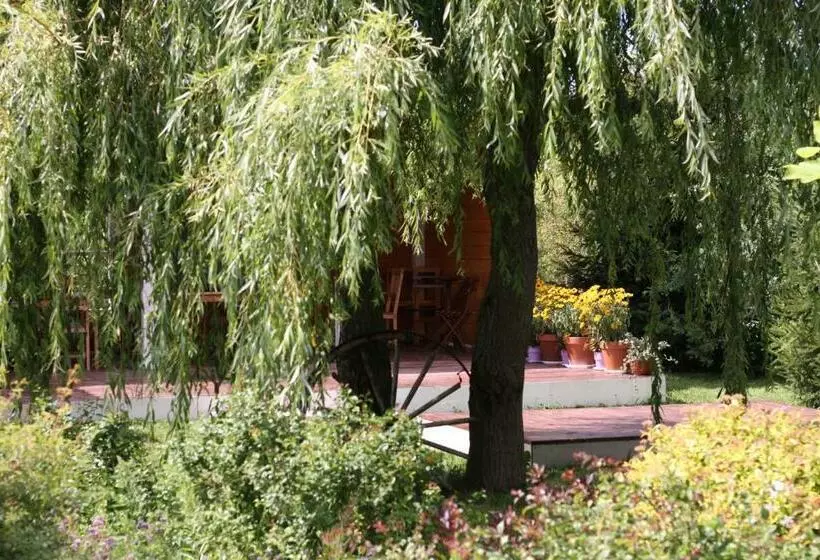 Aamiaismajoitus (B&B) Gościniec Pod Kłosem