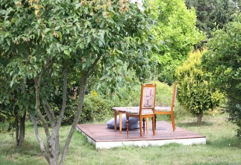 Aamiaismajoitus (B&B) Gościniec Pod Kłosem