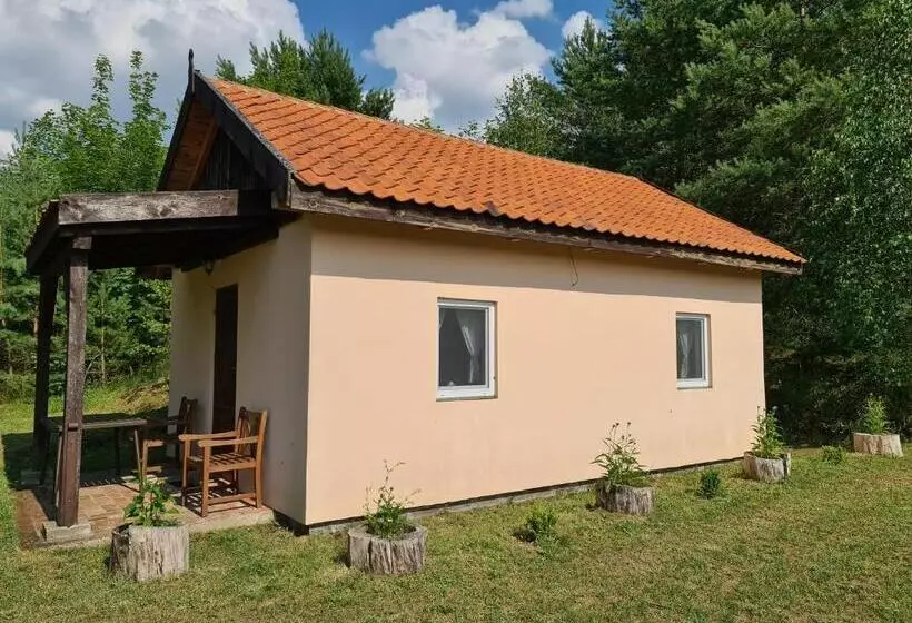 Aamiaismajoitus (B&B) Swojski Gościniec