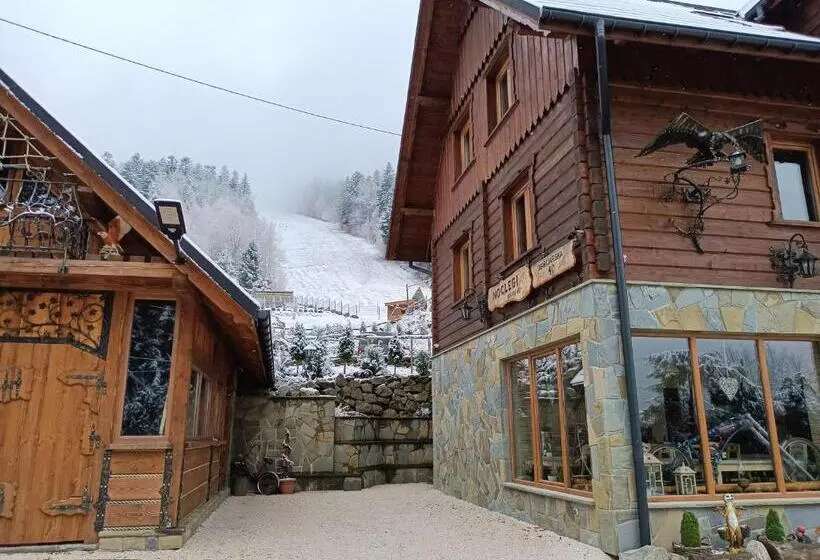 ベッドアンドブレックファースト Udany Noclegi Obok Gondoli