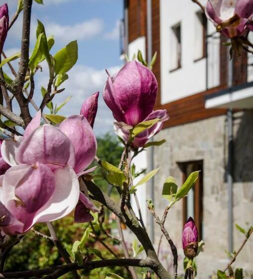 پانسیون Karkonoskie Widoki