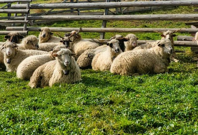 펜션 Sichlański Zakątek