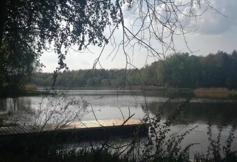 Wiking