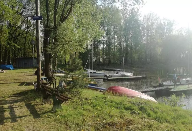 Wiking