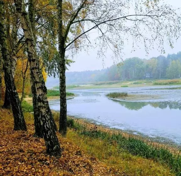 Wiking