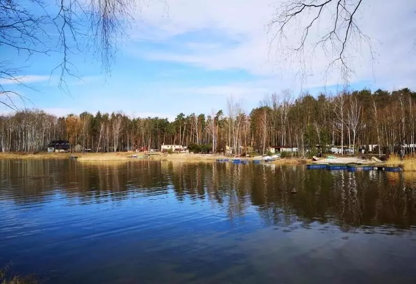 Wiking