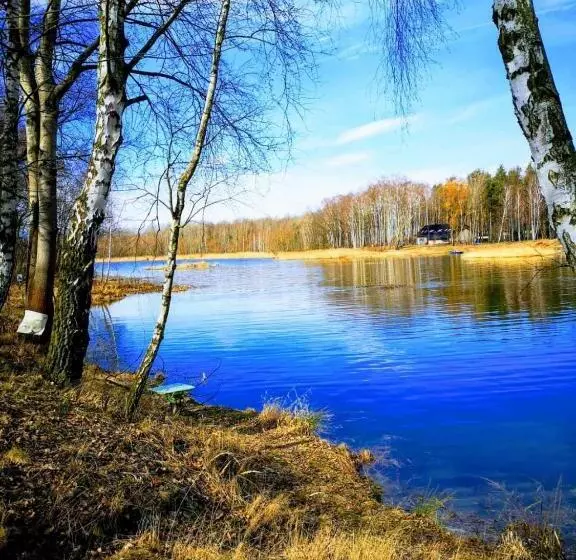 Wiking
