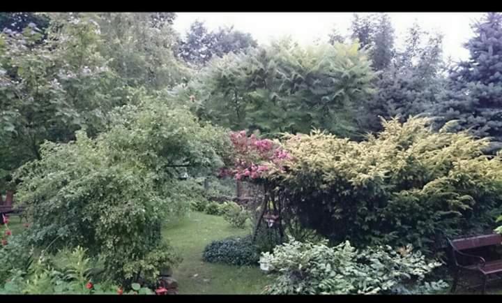 민박 Agroturystyka W Ogrodach