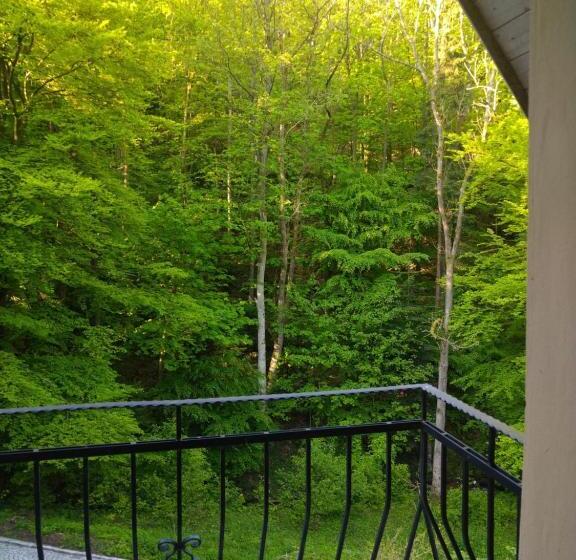 צימר Dworek Leśny