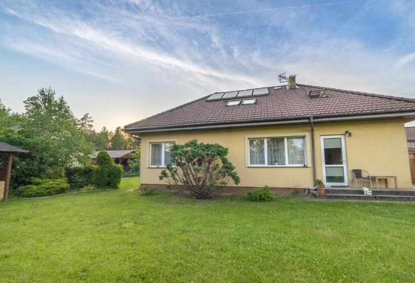 住宿加早餐  Kaszuby Grzonka