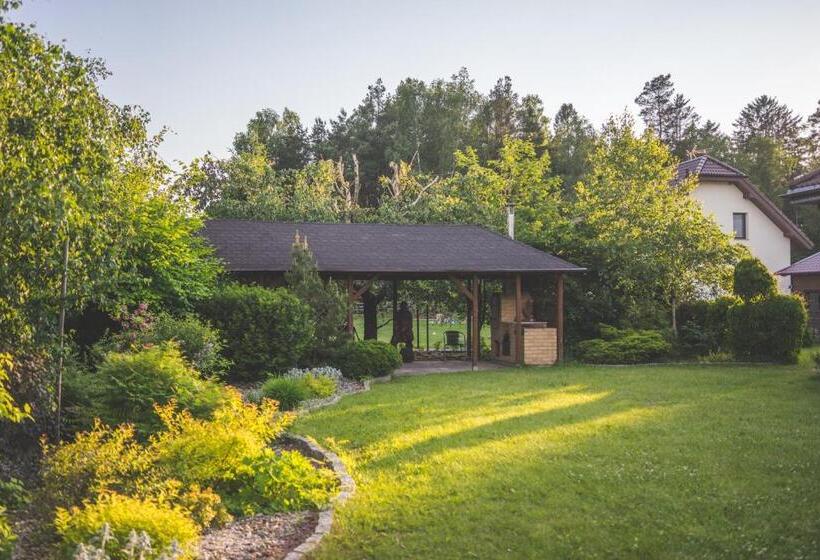 住宿加早餐  Kaszuby Grzonka