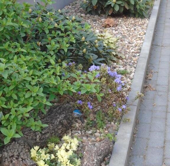 민박 Villa Art Korab