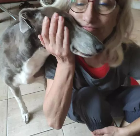 ベッドアンドブレックファースト Wellspring