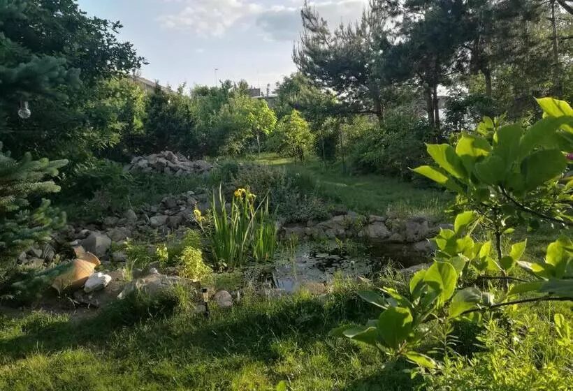 ベッドアンドブレックファースト Wellspring