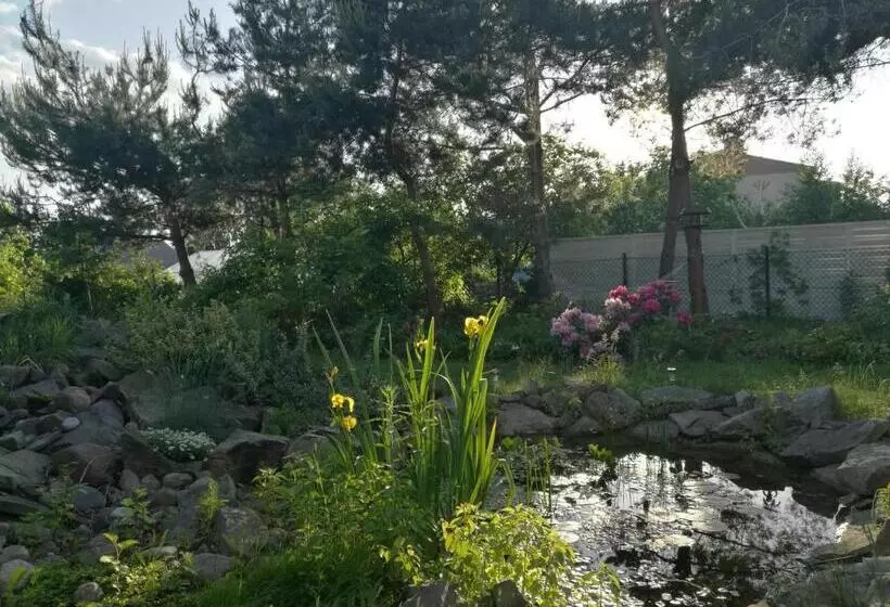 ベッドアンドブレックファースト Wellspring