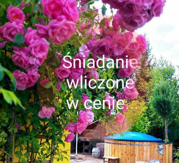 住宿加早餐  Willa Zamkowisko