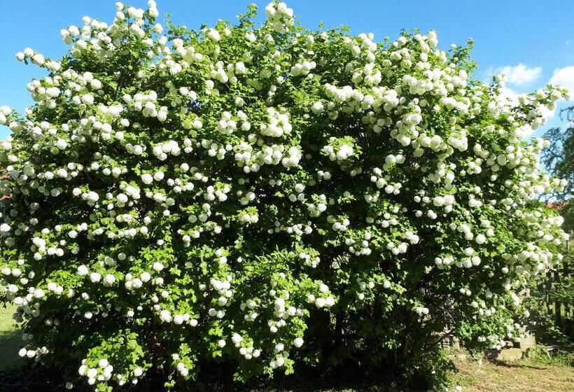 酒店 Agroturystyka Jagap Oaza Spokoju