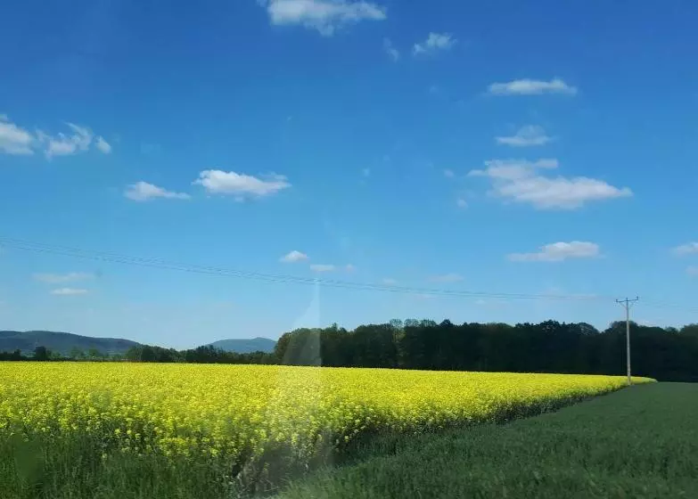 Hotelli Agroturystyka Jagap Oaza Spokoju