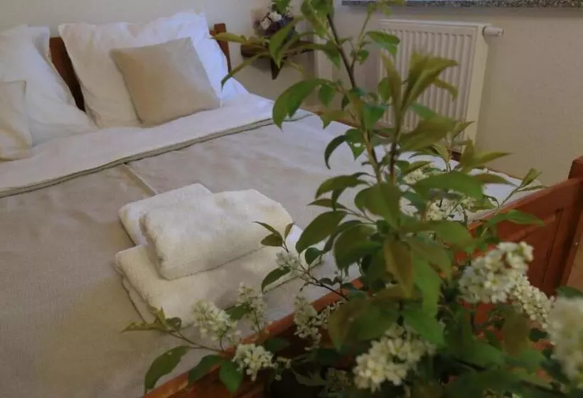 Hotelli Agroturystyka Sikorki