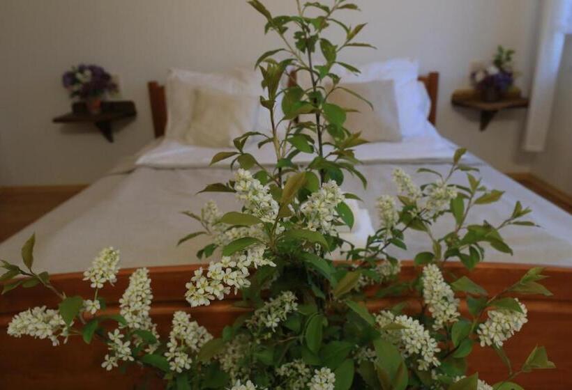 فندق Agroturystyka Sikorki