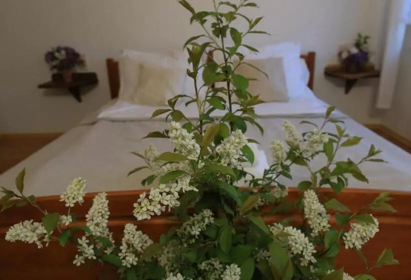 Hotelli Agroturystyka Sikorki
