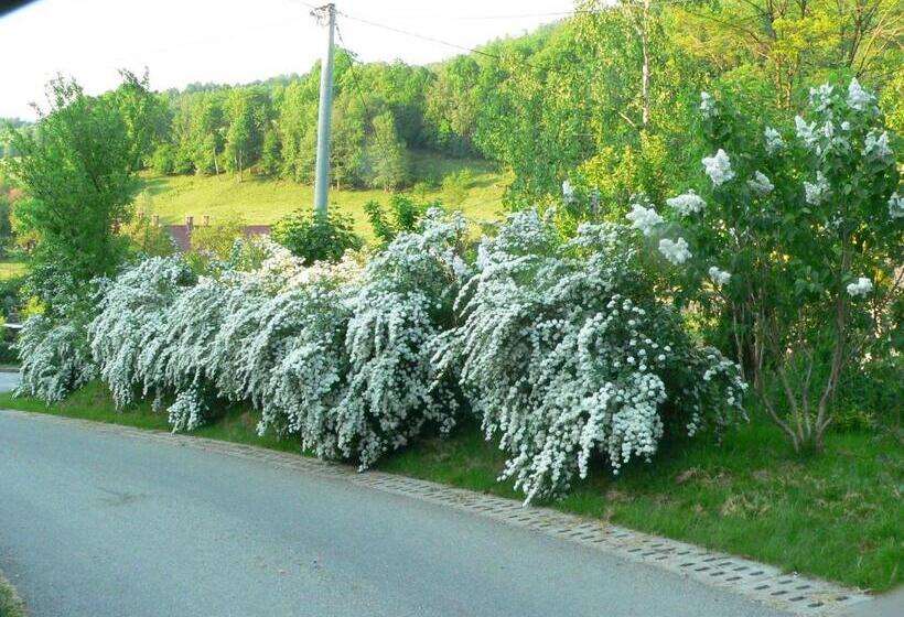 בית מלון כפרי Stara Plebania
