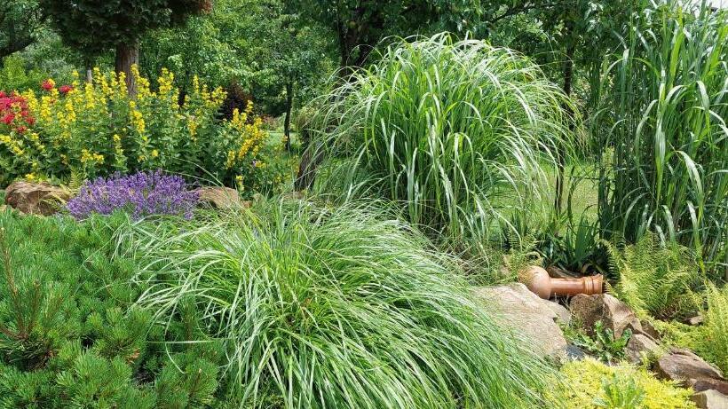 בית מלון כפרי Staro Chałpa